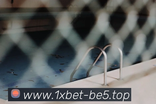 App Interface Preview